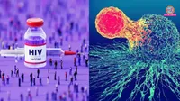 HIV Cure research Immune therapy