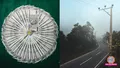 trending-image