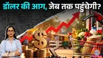 RBI special dollar window