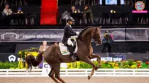 Equestrian Federation of India, EFI suspension, Indian equestrian federation crisis, FEI suspension India, Indian equestrian athletes, equestrian governance crisis, EFI elections 2027, Delhi High Court EFI case, Indian riders international ban, International Equestrian Federation, भारतीय घुड़सवारी संघ