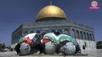 masjid al aqsa, east jerusalem, west jerusalem, jerusalem, jerusalem cable car, jerusalem cable car project, cable car project, israel, palestine, palestine occupation
