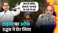 trending-image