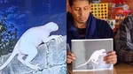 US Mexico border Mystery creature 