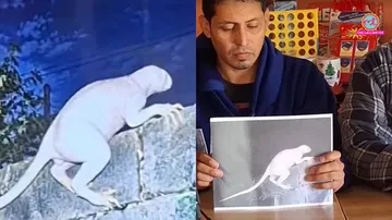post-main-image