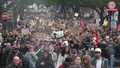trending-image