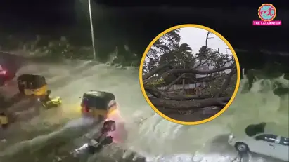 Arnab, Cyclone Arnab, Arnab Cyclone, Andhra Pradesh weather, Andhra Pradesh weather forecast, Odisha weather, cyclone arnab live, arnab cyclone tracker, cyclone tracker, cyclone arnab update