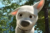 Img The Lallantop