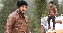 salman khan, tiger zinda hai, 