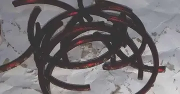 post-main-image