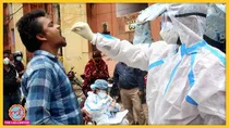 दिल्ली सरकार ने RT-PCR test की कीमत तय कर दी है. प्राइवेट हॉस्पिटल तय कीमत से ज्यादा चार्ज नहीं कर पाएंगे. (सांकेतिक फोटो-पीटीआई)