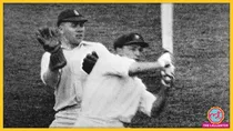 Don Bradman