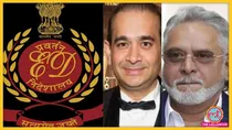 ED के हत्थे चढ़े नरेश जैन ने जितने रुपयों का खेल किया वो विजय माल्या और नीरव मोदी से 10 गुना ज्यादा है. फाइल फोटो