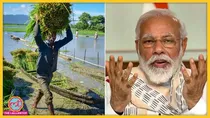 किसानों के भले के लिए चलने वाली पीएम किसान योजना का पैसा उन लोगों को मिल रहा था, जिनका खेती-किसानी से कोई वास्ता नहीं. (फोटो- PTI)