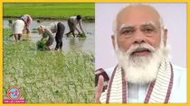Pm Modi Farmers