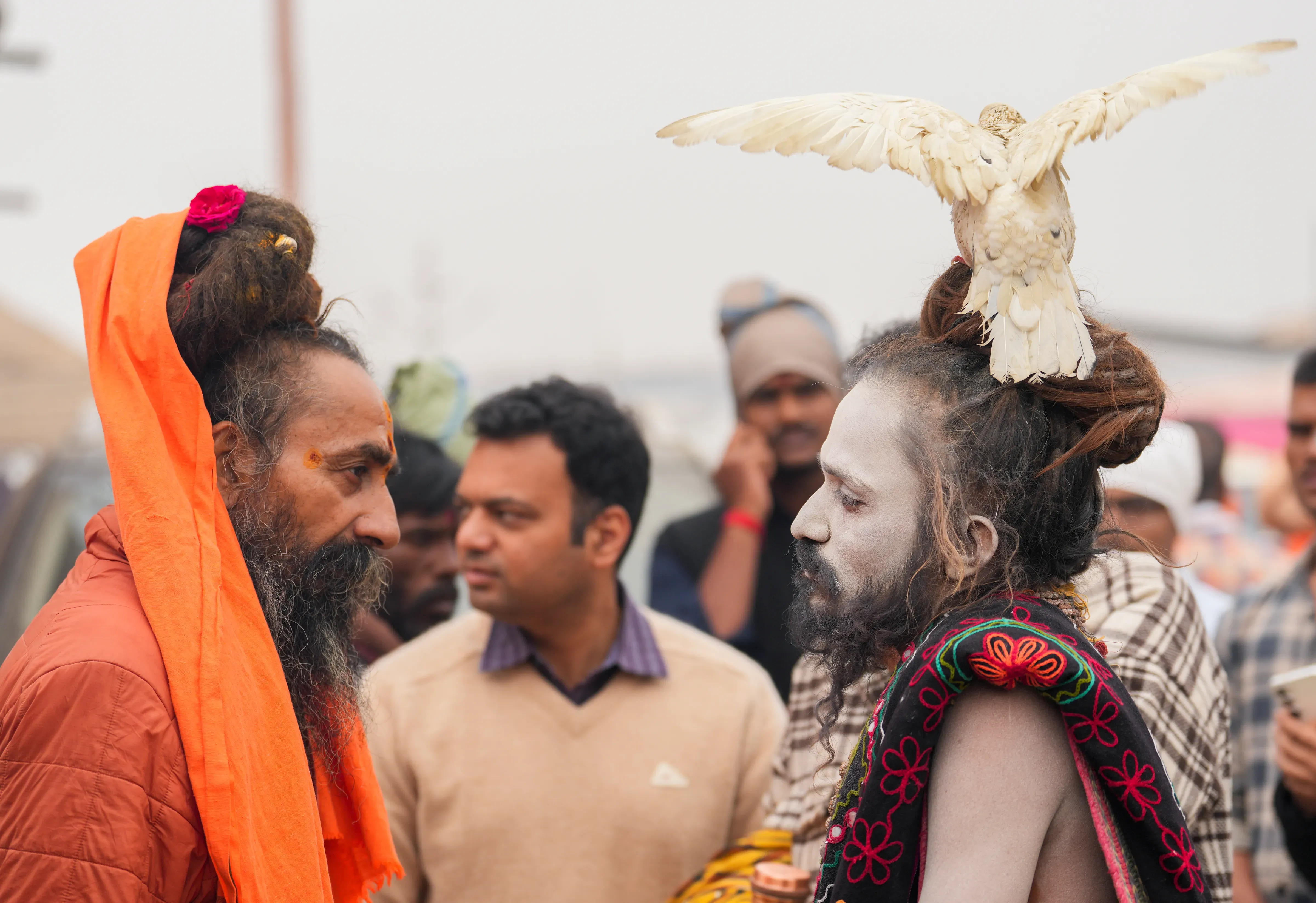 KUMBH BIRD BABA