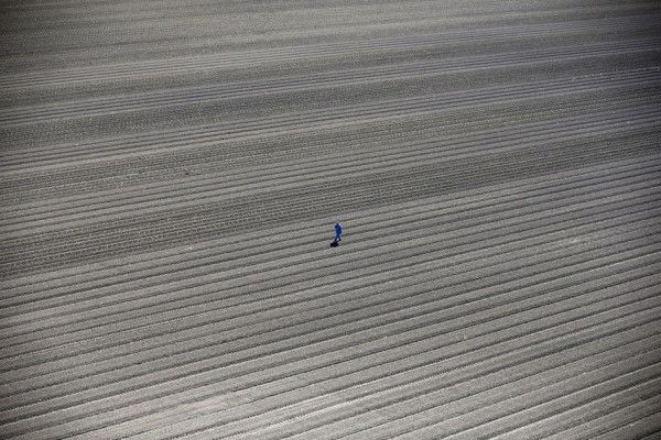 California drought from above” by Lucy Nicholson, UK