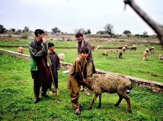 ‘Pakistan’ by Zohaib Tariq, Pakistan