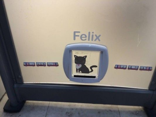 felix cat passage at ticket counter