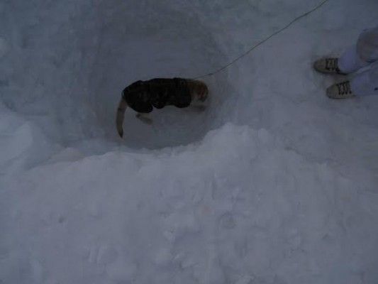 siachen avalanche-2