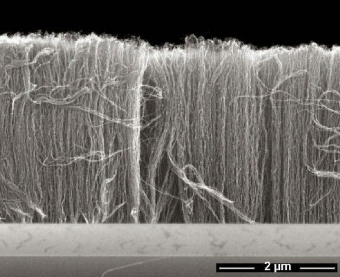बाल के 10,000वें टुकड़े के बराबर Nanotubes 