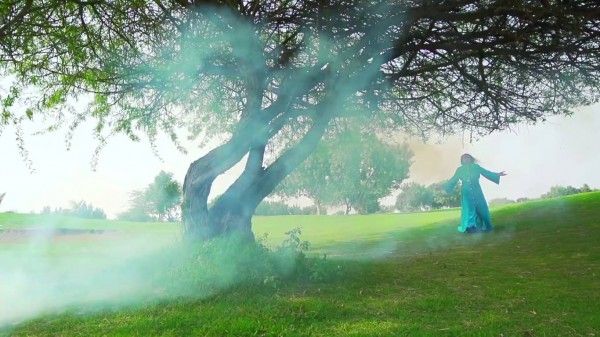 12991879_1184645141607190_1027576186_o