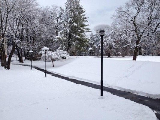 यूं नजर आ रहा है अमेरिका इन दिनों