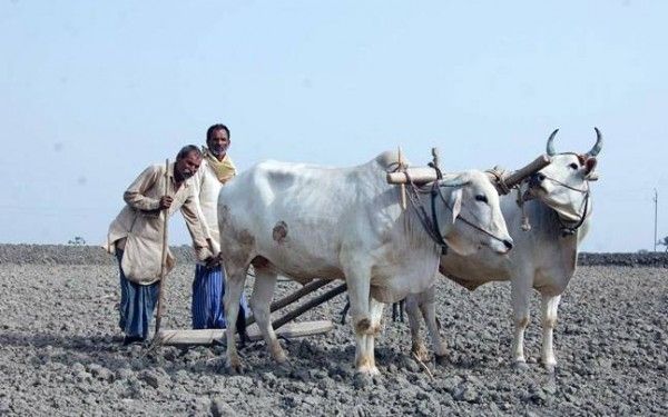 Bundelkhand