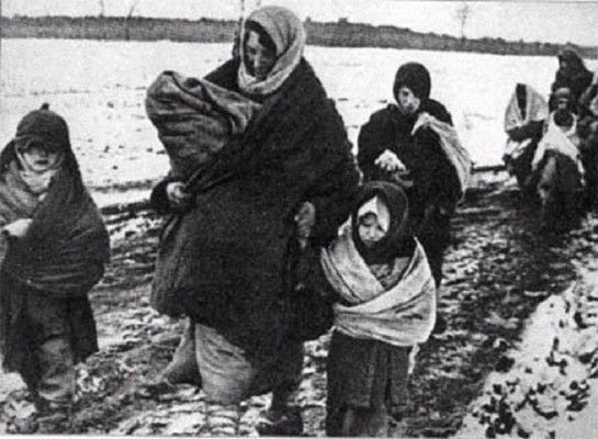 deportation 1