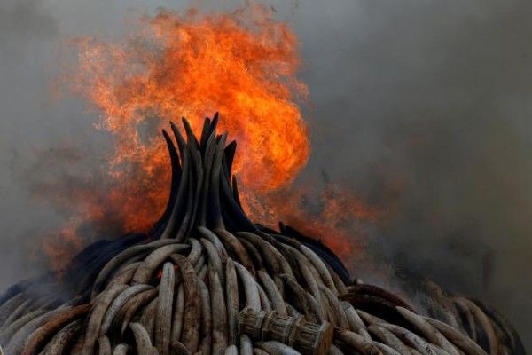 फोटो क्रेडिट: Reuters