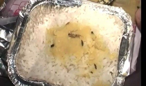 rail food