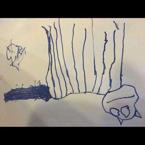 13344675_1616688818647105_5391823081517081855_n