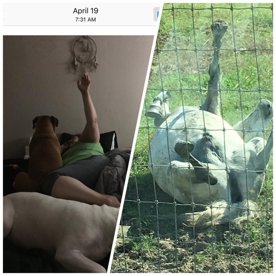 13407012_10208083970475197_1793591850116680009_n (1)