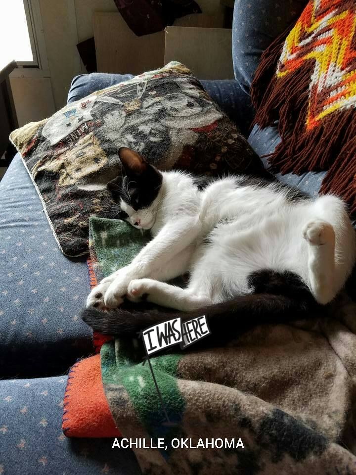 13423874_1121585494553827_1524634651804060783_n