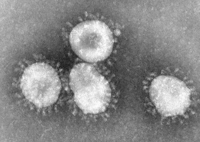 Coronaviruses_004_lores