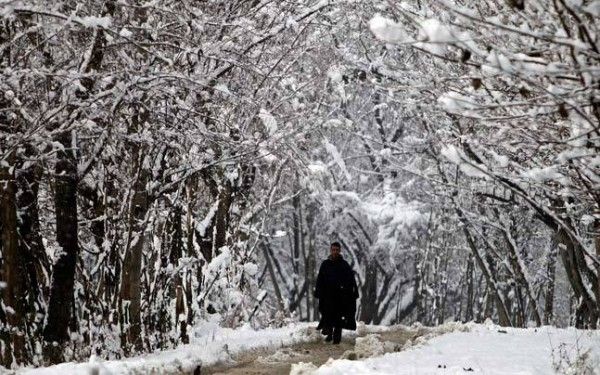 फोटो क्रेडिट: REUTERS