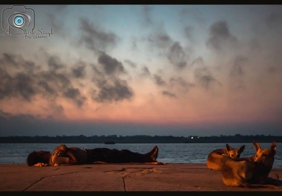 फोटो: आशीष सिंह