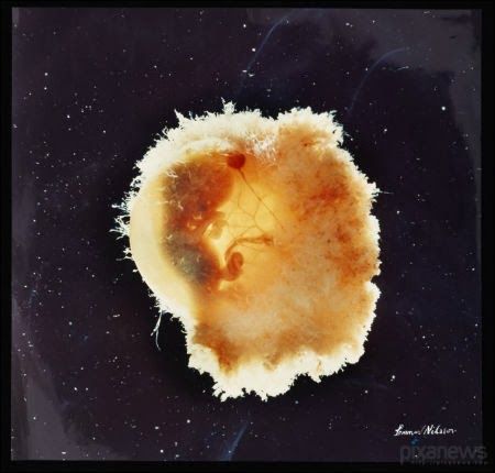 zhizn-0006