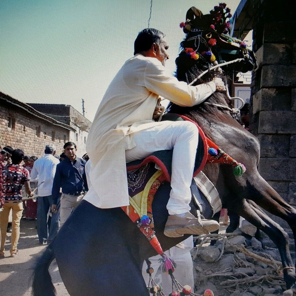 1924030_892633977512563_1162529526717614182_n