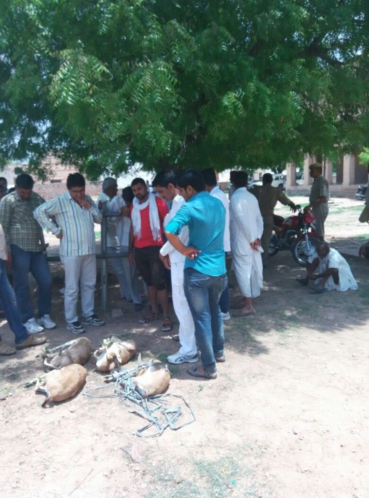 NAGAUR2