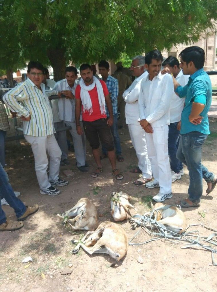 NAGAUR7