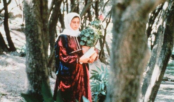 Through the Olive Trees (1994)