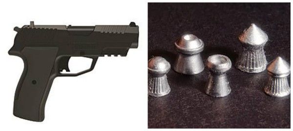 पैलेट पिस्टल और पैलेट