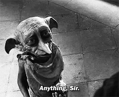 dobby yes master