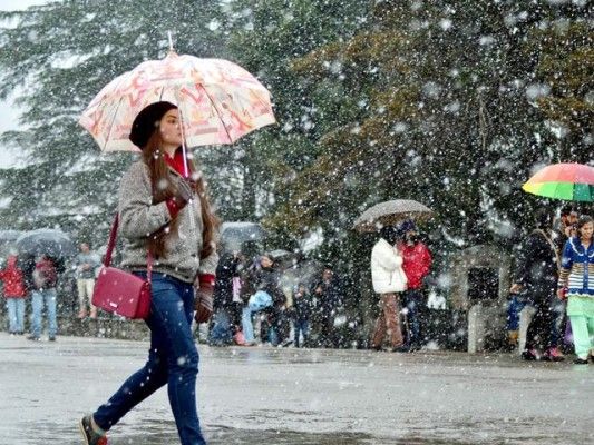 girl in simla