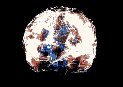 giphy (2)