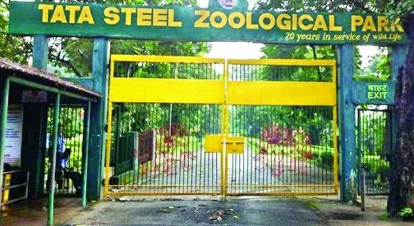 Tata-Steel-Zoological-Park-690x377