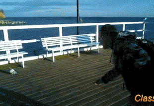 25-www.rsvlts.com-J8l57HF