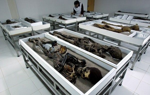 39CA3A7D00000578-3879760-image-a-9_1477654185542