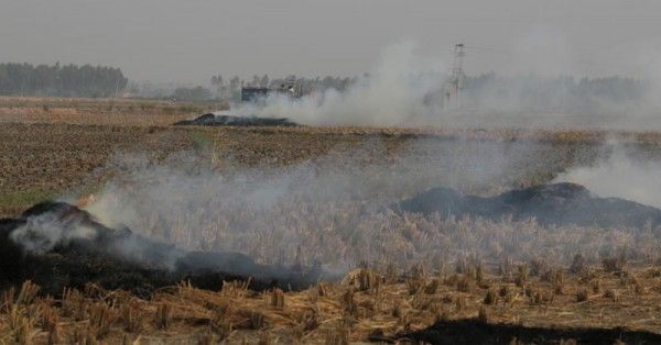 क्या पराली (फसल काटने के बाद बचा हिस्सा) जलाने से फैला इतना स्मॉग?