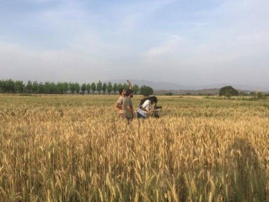 15327810_10154719960490350_630637360_n